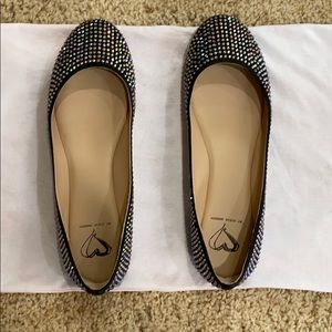 Sparkly Ballet Flat- Only worn once!